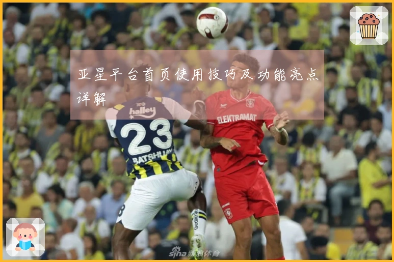 亚星平台首页使用技巧及功能亮点详解