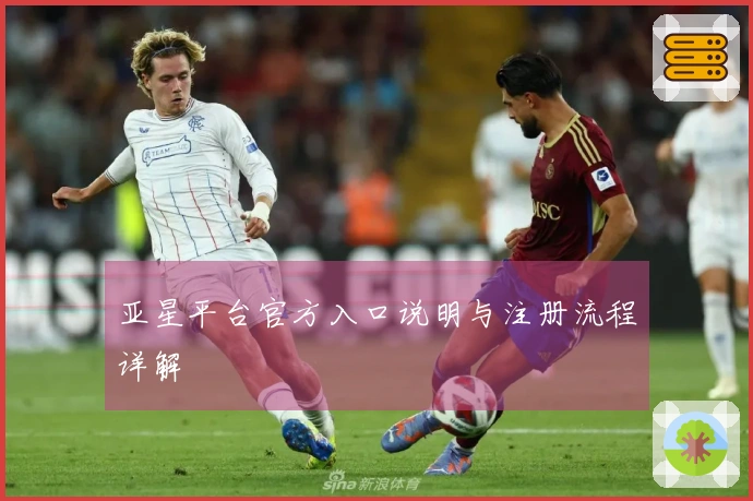 亚星平台官方入口说明与注册流程详解