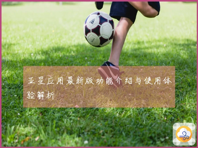 亚星应用最新版功能介绍与使用体验解析